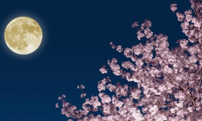 May’s-full-flower-moon -hitting-this-sky-week